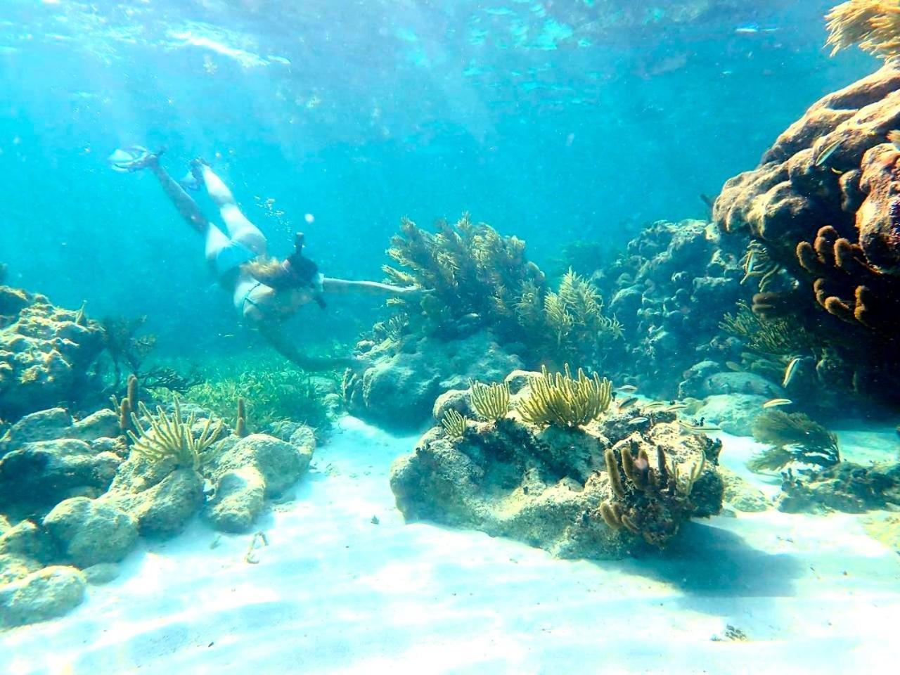 Pronoia Casa De Playa Villa Mahahual Dış mekan fotoğraf