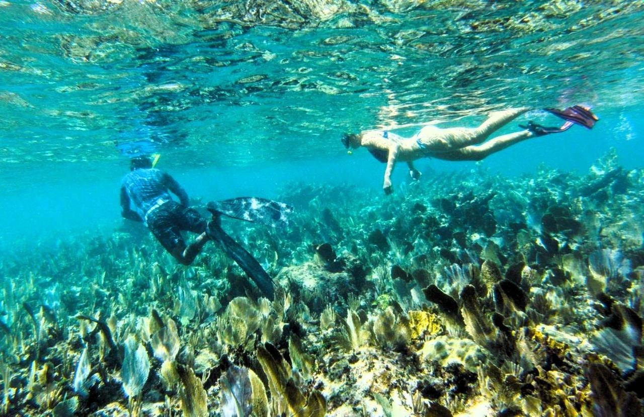 Pronoia Casa De Playa Villa Mahahual Dış mekan fotoğraf